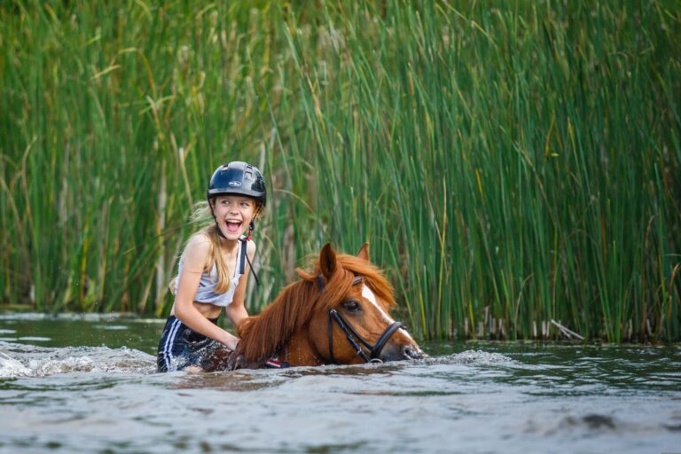 kąpanie koni na Mazowszu
